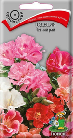Годеция Летний Рай 0,25г Ц Поиск