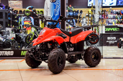 MOTAX ATV MIKRO 110 cc Красный