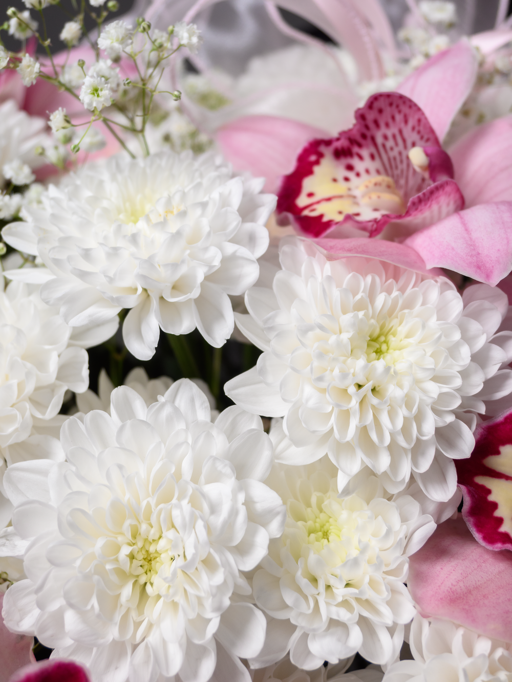 Королева сердца *