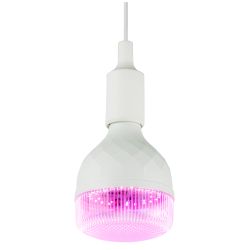 Фитолампа для растений светодиодная ЭРА GREEN LINE ФИТО-35W-PL-E27-GR красно-синего спектра 35 Вт Е27 | Фитолампы Е27