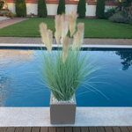 Осока сизая 9 веток 120 см