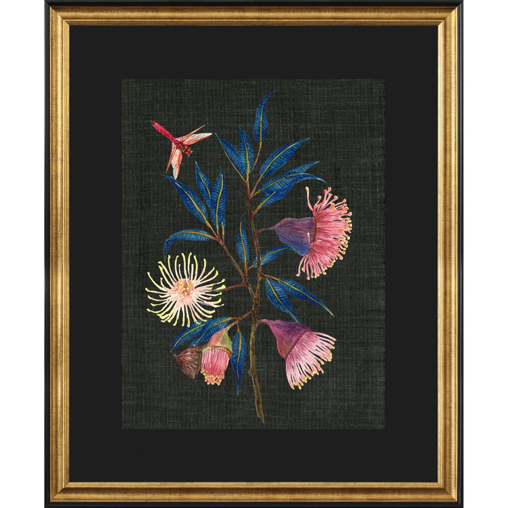 Постер 55х70 G&C Gum Nuts 1