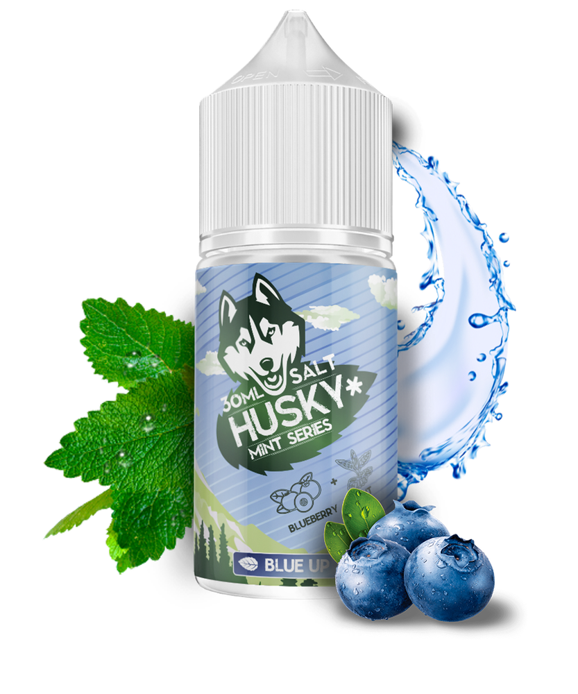 Husky Mint - Blue Up (5% nic)