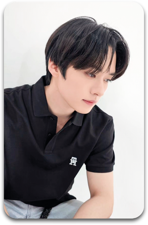 Карта / STRAY KIDS #1149