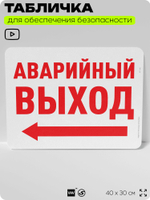 Табличка для обеспечения безопасности "Аварийный выход", для офиса, по охране труда для предприятия, организаций, 40х30 см, Silver Plane x Айдентика Технолоджи