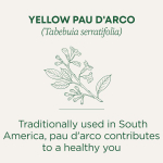 Traditional Medicinals, Yellow Pau d 'Arco, без кофеина, 16 чайных пакетиков, 24 г (0,85 унции)