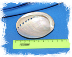 black abalone размер