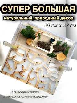 Супер большой Формикарий с муравьями в подарок «XXXL Дерево»