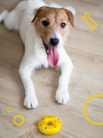 Игрушка Фанси Петс FPP10 для собак "Пончик" 13 см