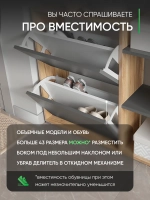 Обувница в прихожую тумба закрытая с полками