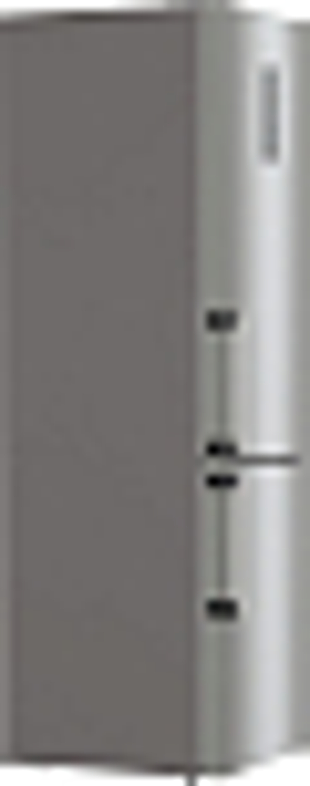 Отдельностоящий двухкамерный холодильник Gorenje NRC6203SXL5