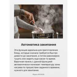 Электрическая панель Hansa BHC66206