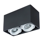 Точечный накладной светильник Arte Lamp PICTOR A5654PL-2BK