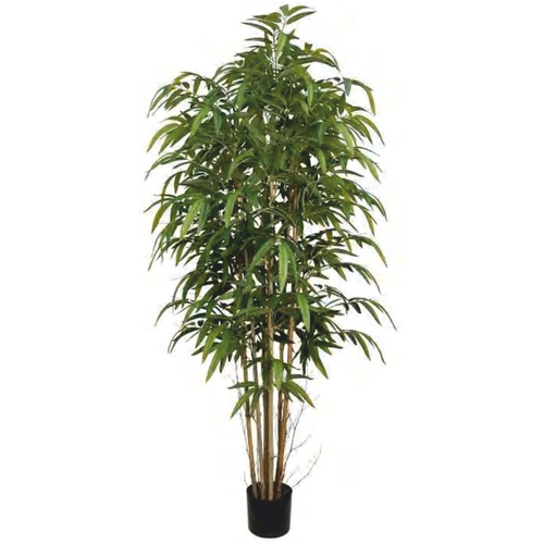 Бамбук Биг лиф 180 см