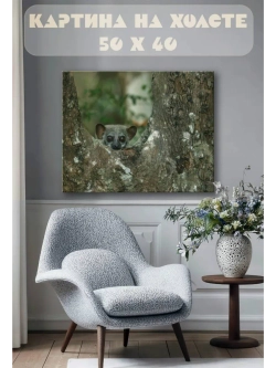 Картина на стену 40 X 50 Лемур