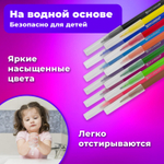 Фломастеры BRAUBERG "PREMIUM" 12 цветов классические вентилируемый колпачок ПВХ-упаковка с европодвесом (6 штук в упаковке)
