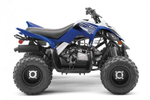 Квадроцикл YAMAHA YFM90R (Raptor 90)