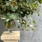 🍀 Музыка трепетных листьев — звучание множества сортов эвкалипта — Ø ~ 90 см