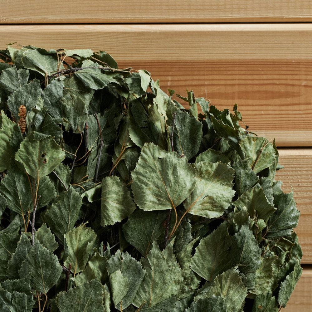 Веник берёзовый «Профессиональный» (обмот. ручка резинкой)_3.jpg Веник берёзовый «Профессиональный» (обмот. ручка резинкой)_3.jpg