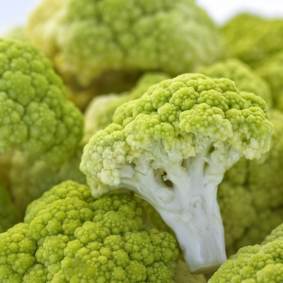 Грин Шторм F1 семена капусты цветной (Syngenta / Сингента) – фото 2