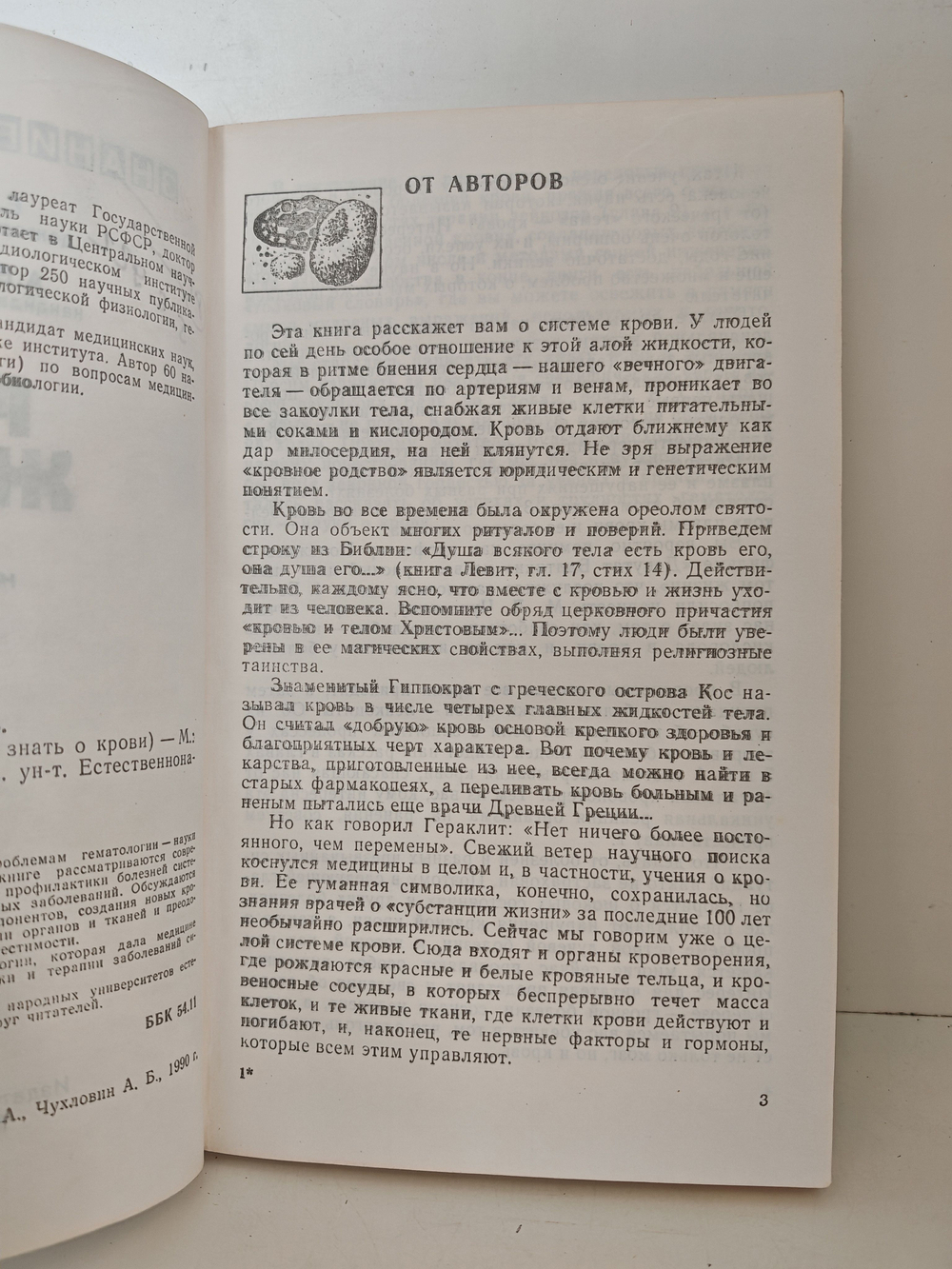Река жизни. Что нужно знать о крови