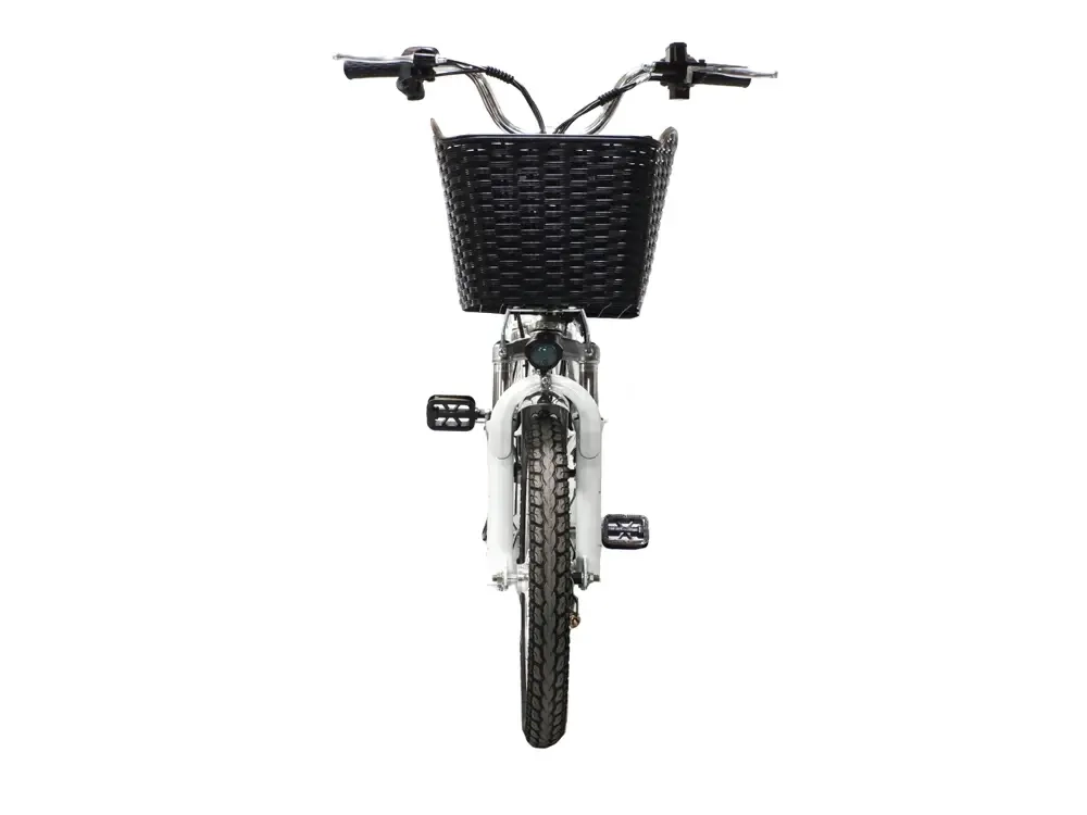 Электровелосипед Green Camel Транк-18 V2 (R18 250W)