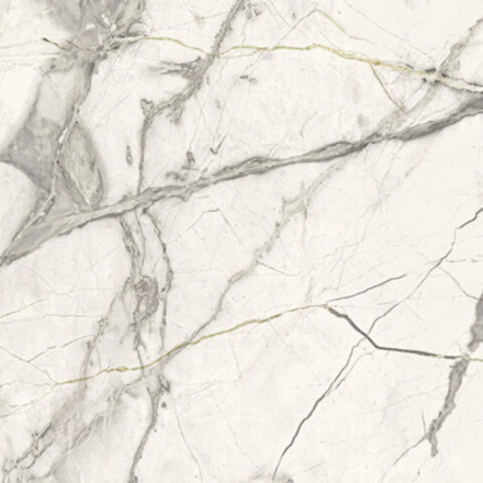 Керамогранит Pav. Invisible nat white 60