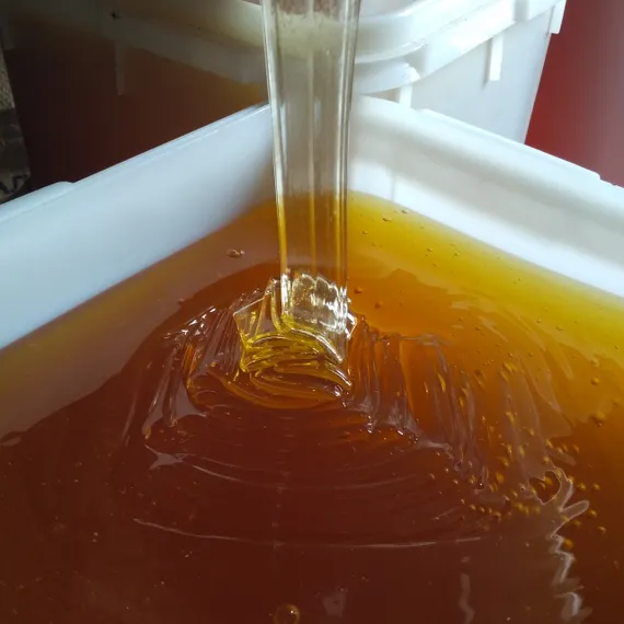 Mountain honey (Soloneshnoe) 1 kg