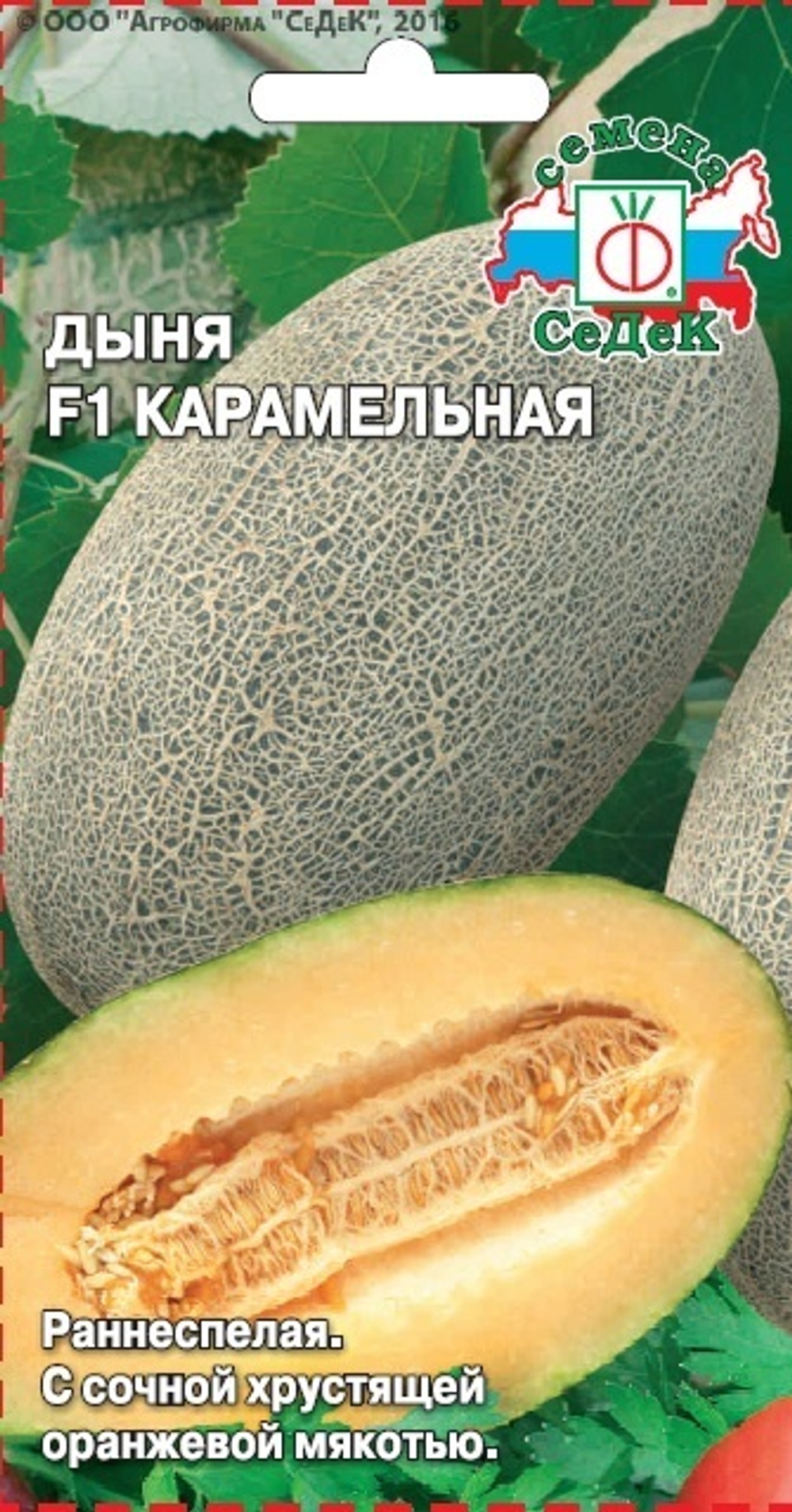 дыня Карамельная F1