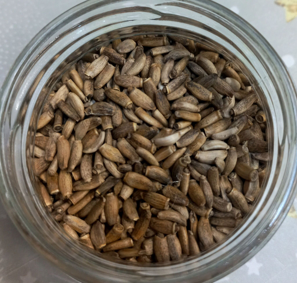 Семена расторопши, 0,5 кг.