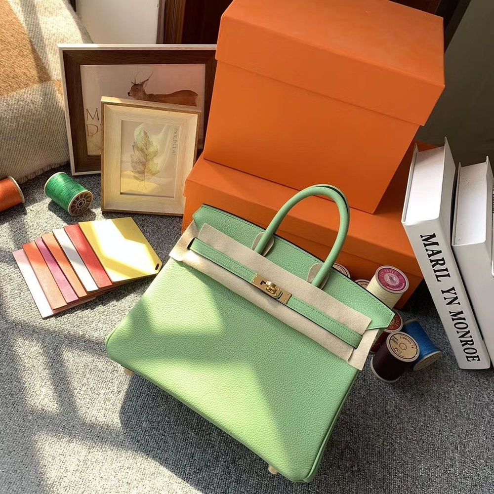 Hermes Birkin 25