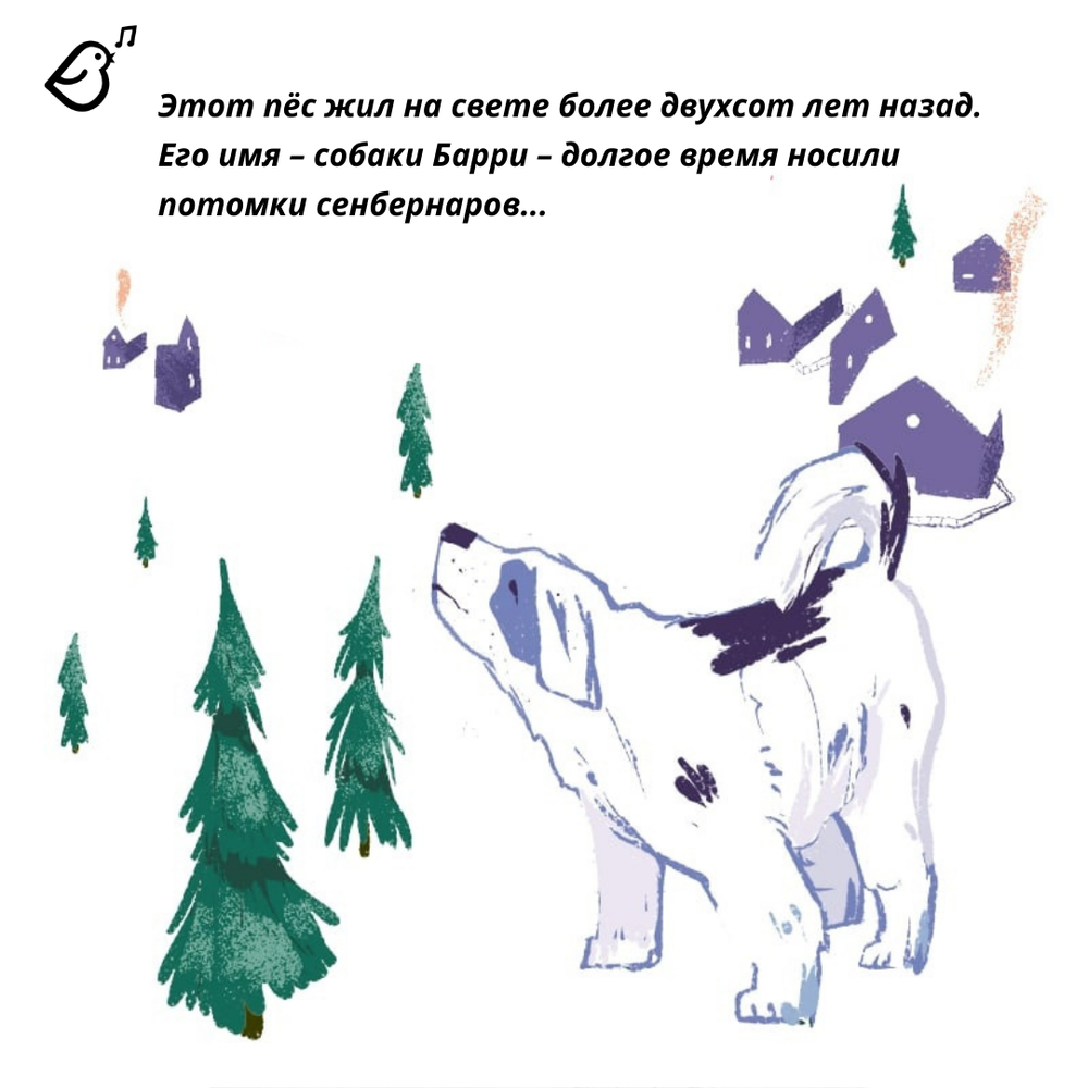 Сенбернар Бэрри. Спасатель в горах