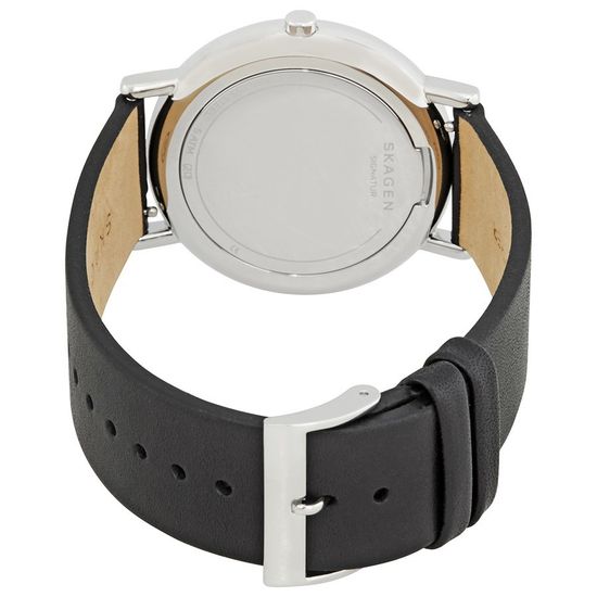 Мужские часы Skagen SKW6434