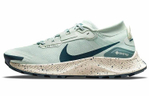 Кроссовки Nike Pegasus Trail 3 Gtx (Женская размерная сетка)