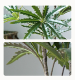 Дизиготека 165 см