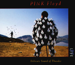 Pink Floyd / Delicate Sound Of Thunder (2CD)