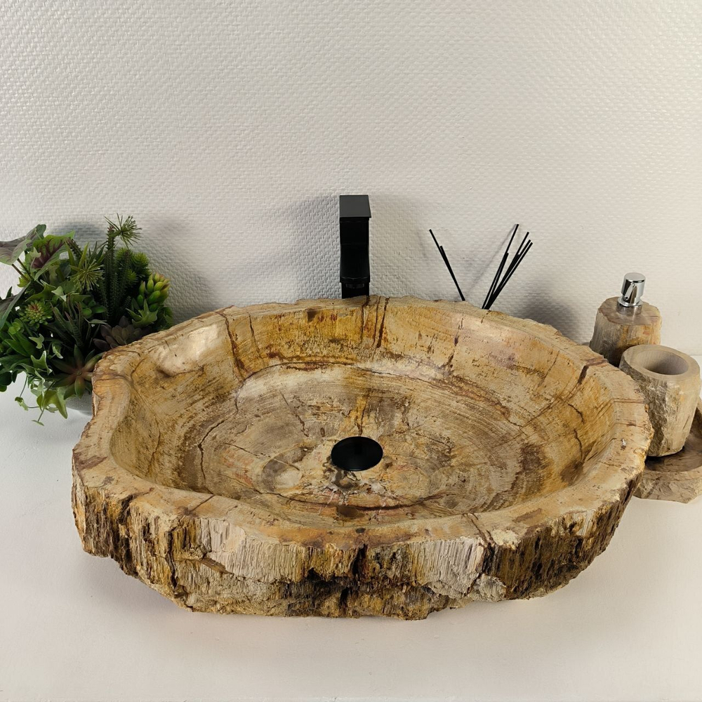 Каменная раковина из окаменелого дерева OD-04822 (67*51*16) 0176 из натурального камня
