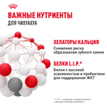 Royal Canin Chihuahua Adult Чихуахуа Эдалт Корм сухой для взрослых собак породы Чихуахуа от 8 месяцев 1,5кг