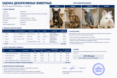 Оценка декоративных животных