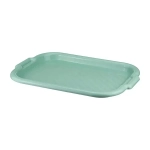 Поднос универсальный 27см. Фисташковый