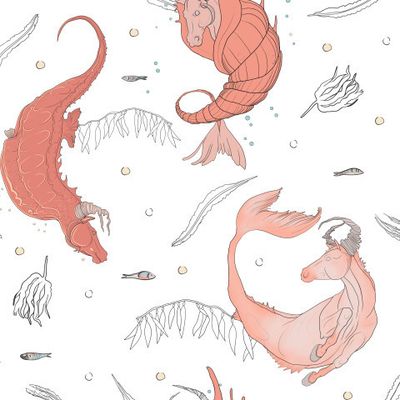 Seahorses_different