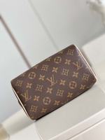 Louis Vuitton Speedy 20