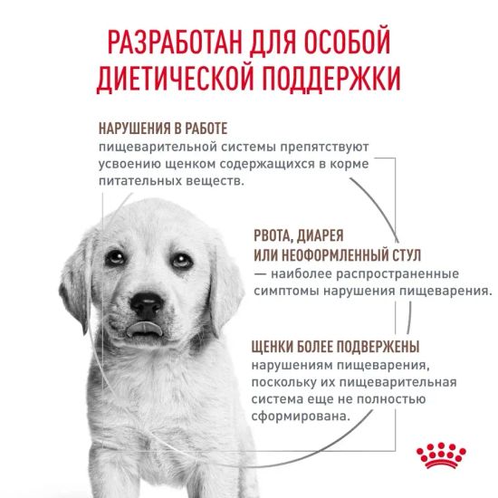 Royal Canin Gastro Intestinal Диета для щенков при нарушениях пищеварения 2,5 кг Royal Canin Gastro Intestinal Диета для щенков при нарушениях пищеварения 2,5 кг