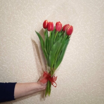 Букет из 7 сортовых пионовидных тюльпанов Дабл Колумбус