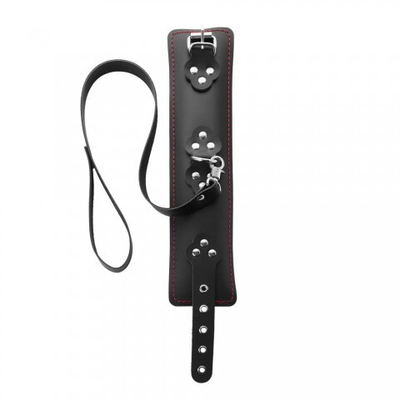 Ошейник с мягкой подкладкой и поводком