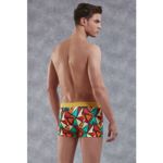 Мужские трусы боксеры Doreanse 1873