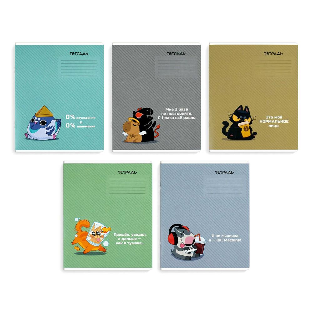 Тетрадь А5 12л. линия "Герои с характером" УФ-лак, мелов.картон, ассорти (Феникс+)