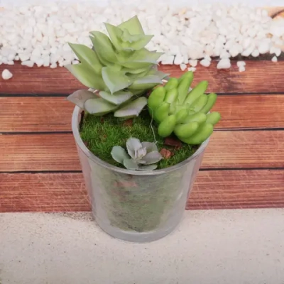 Цветок искусственный «Суккулент» 6*10см в стеклянном горшке ZPY-19