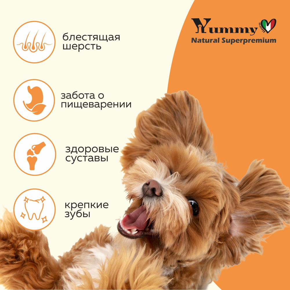 Yummy Linea корм для взрослых собак малых и миниатюрных пород, индейка, 2,5 кг