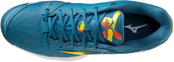 Кроссовки мужские Mizuno Wave Intense Tour 5 Clay, арт. 61GC1900-30